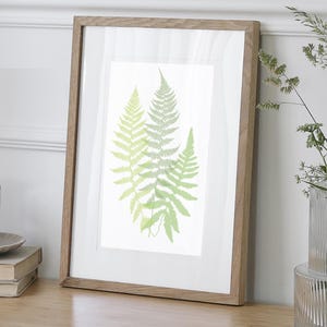 May include: A framed print featuring a botanical illustration of three overlapping fern fronds in shades of green. The artwork is displayed in a light-colored wooden frame, leaning against a white wall. A cup and saucer sit on a stack of books.
