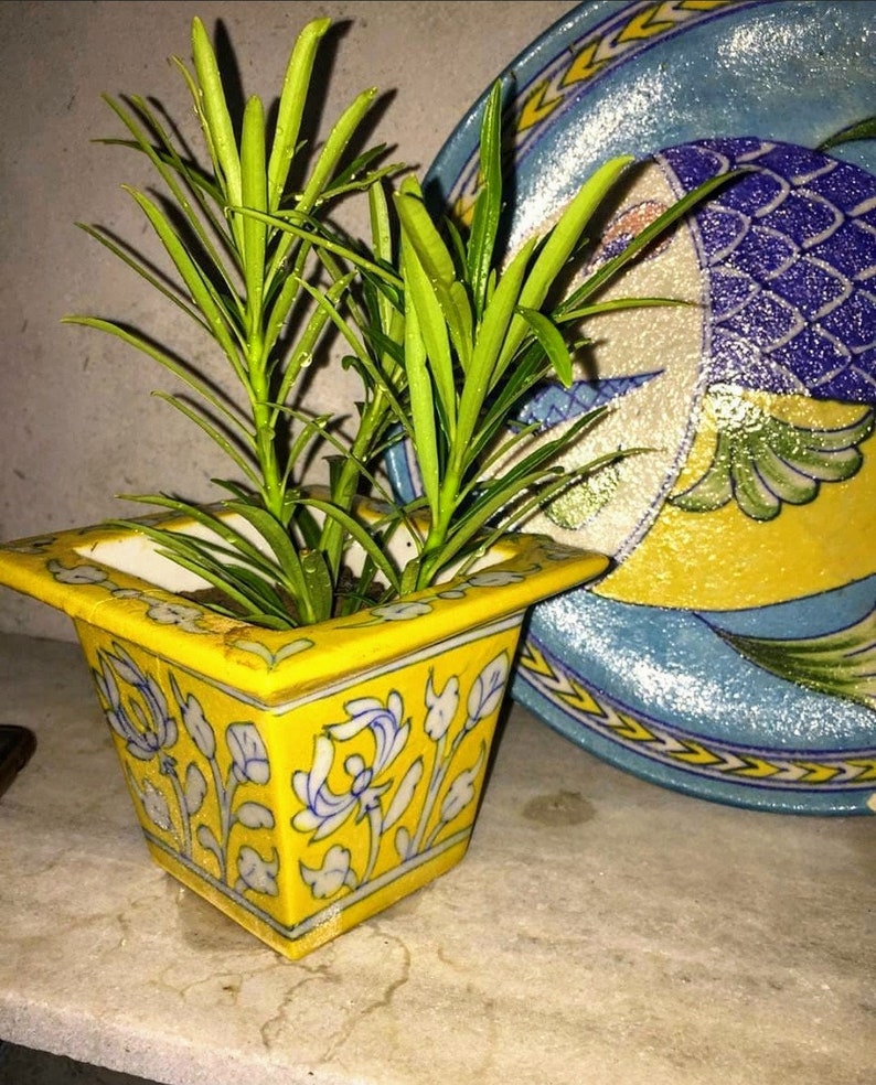 Hand Painted Table Top Planter Ceramic Planter Pottery Etsy