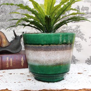 May include: A green and white glazed ceramic planter with a wide rim. The planter has a brown band around the top and bottom of the white band. A green plant is growing in the planter.