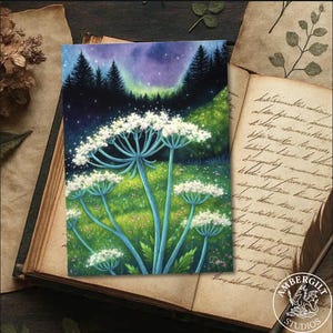 Queen Anne’s Lace Art Print – 5x7 Botanical Painting, Dark Cottagecore Decor, Velvet Matte Fine Art Print, Storybook Floral Wall Art