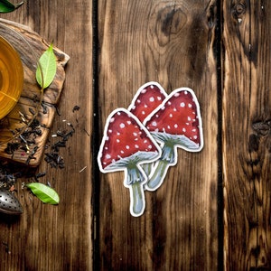 Autocollant de champignon | Autocollant vinyle champignon | Autocollant de champignon à capuchon rouge | Autocollant imperméable à l’eau | Autocollant de champignon des bois | Amant de champignon