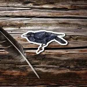 Crow Sticker | Dark Academia Crow | Whimsigoth Crow Sticker | Waterproof Vinyl Sticker | Witchy Crow Sticker | Gift for Raven Lover