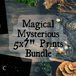 Mystery Print Bundle | Surprise Print Bundle with Exclusive Designs & Bonus Stickers | Mystery Art Box | Surprise Bonus Mystery Prints