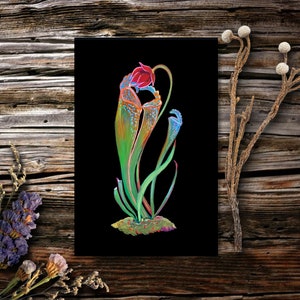 Pitcher Plant Mini Print | 4x6" Original Artwork Print | Dark Academia | Dark Cottagecore Postcard Print | Gothic Floral Original Art