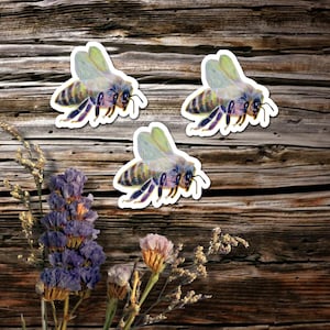 Bee Sticker | Bumblebee Sticker | Laptop Sticker Cute Vinyl Sticker Bee Lover Witch Goth Sticker Witchcraft Bee Sticker Insect Magic Sticker