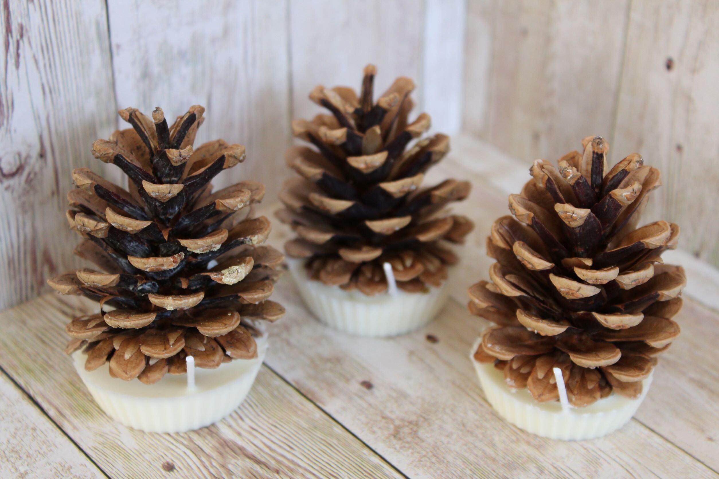 Pinecone Fire Starters Fircone Soy Wax Campfire Starter - Etsy UK