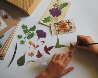 Getrocknete Pressblumen DIY Kit, Bastelset, Starter DIY, Anfänger zum Vorrücken, Made in India, Weihnachtsgeschenk, Trockenblumen, How to