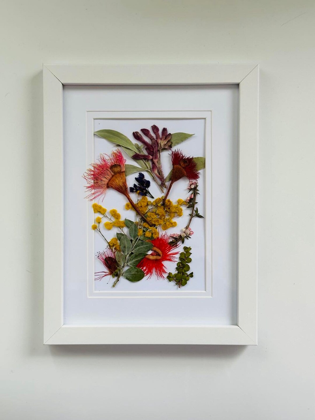 Australian Native Flower Wall Art a Mix of Native Flowers Etsy Australia