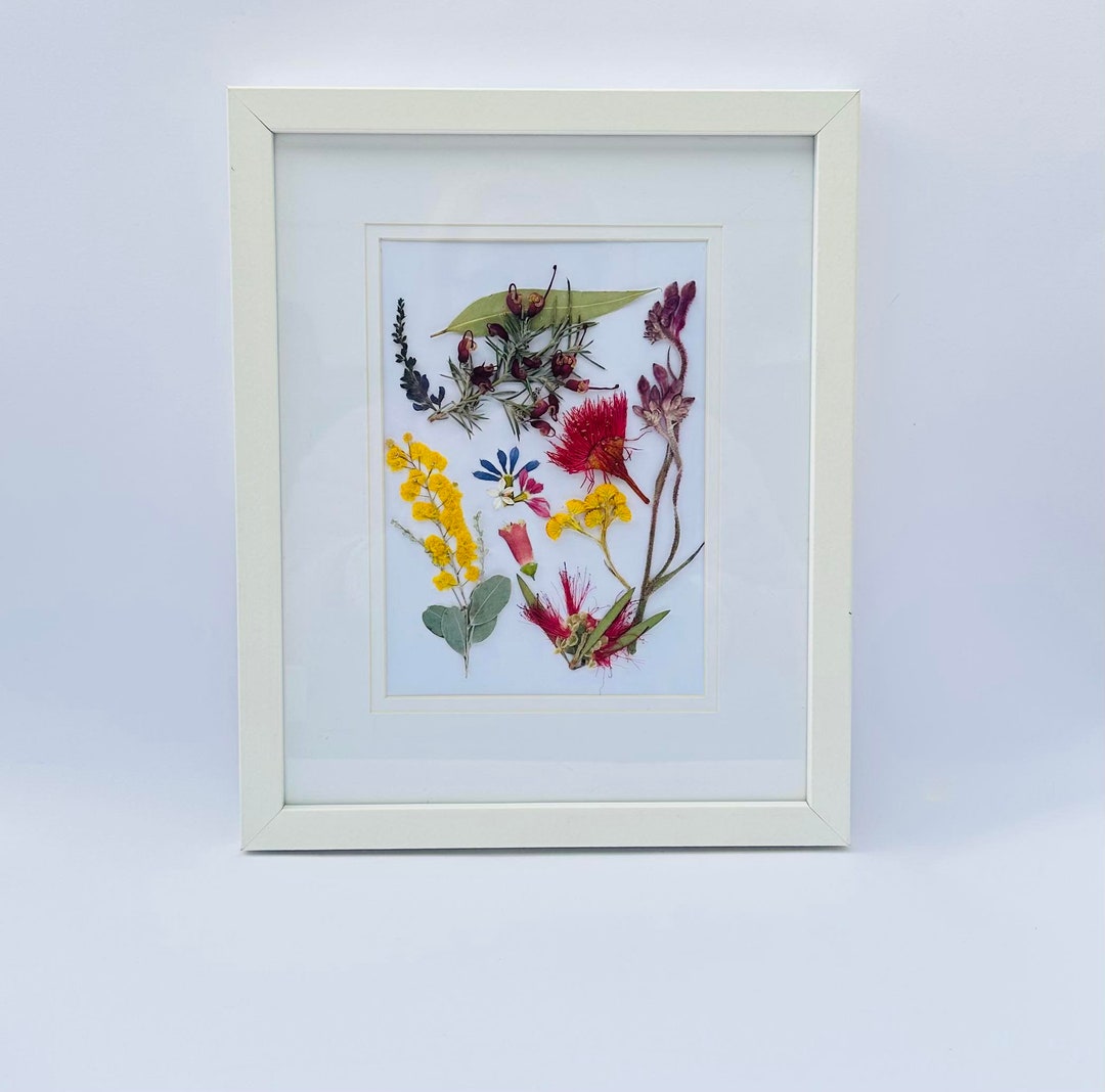 Australian Native Flower Wall Art a Mix of Native Flowers Etsy Australia