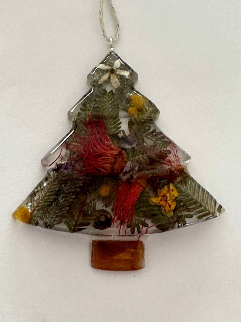 CHRISTMAS BUSH TREE Australian, Natives, Christmas, Decoration, Tree