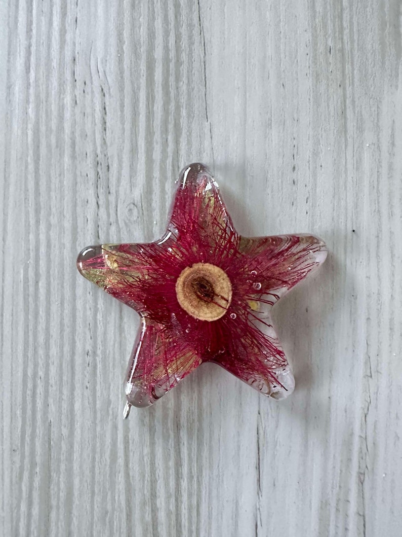 CHRISTMAS BUSH STAR, Australian, Native, Flora, Souvenir, Decoration