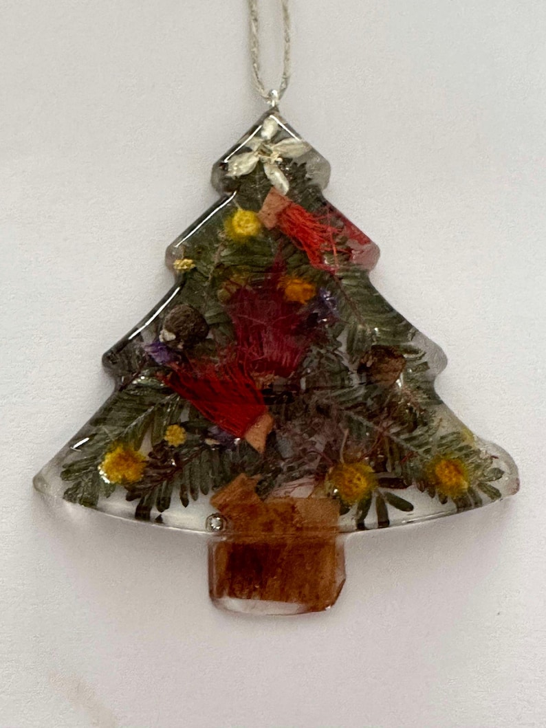 CHRISTMAS BUSH TREE Australian, Natives, Christmas, Decoration, Tree