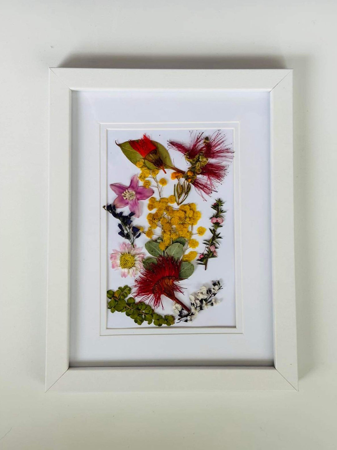Australian Native Flower Wall Art a Mix of Native Flowers, Wattle, Red