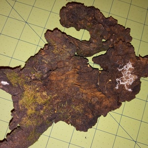 Terriarum wood