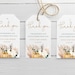Little Pumpkin Thank You Tags Digital Favor Tags Printable | Etsy