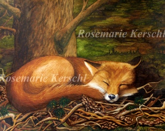 Aquarellbild *Schlafender Fuchs im Wald* handgemalt 42 x 56 cm in Querformat kein Druck