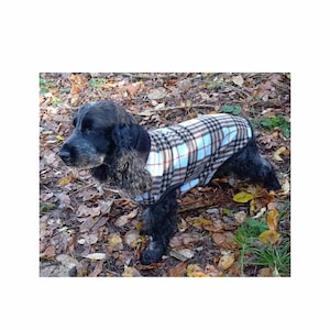 Könnte beinhalten: Ein schwarz-brauner Hund, der einen blauen und braunen karierten Hunde-Mantel trägt. Der Hund steht auf einem Bett aus Herbstlaub.