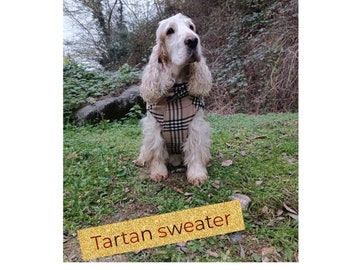 Tartan dog sweater lined inside with quilted fabric, traditional British dog coat, cocker spaniel  trench, jacket for dog