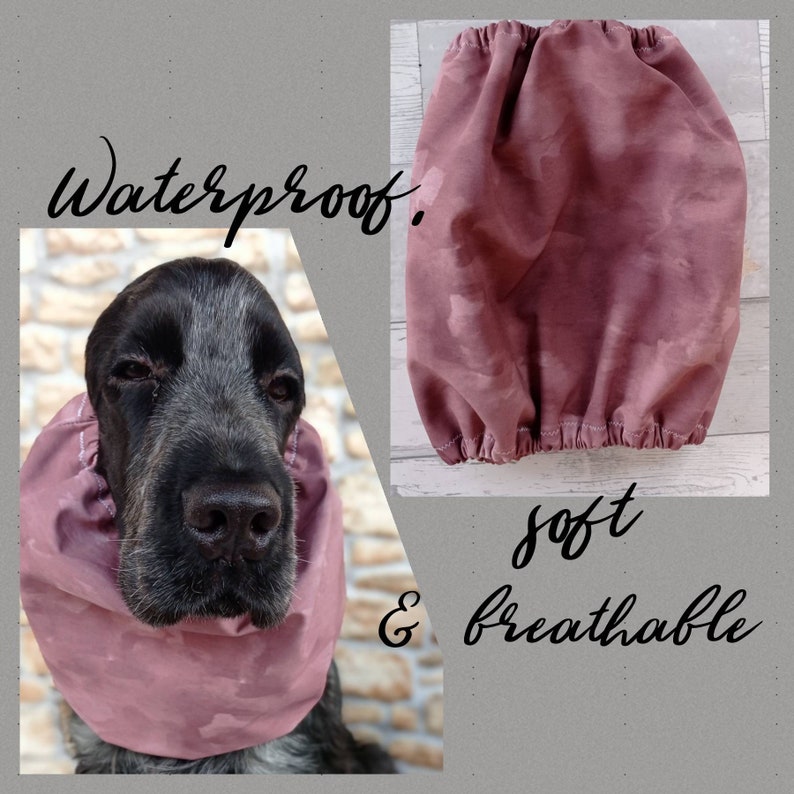 Waterproof Dog Snoodwater Resistant Snood for Dogscavalier - Etsy