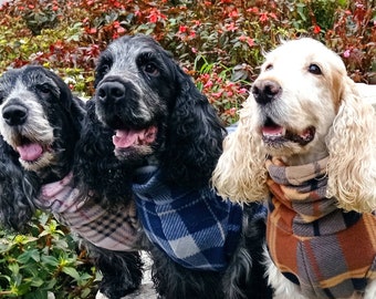 Manteau polaire tartan pour chiens, veste polaire chien, gilet cocker spaniel, gros pull chiens polaire, pull chien polaire personnalisé, gilet épagneul polaire