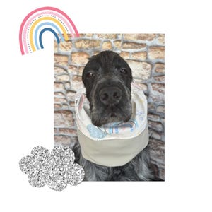 Waterproof snood for dogs with raimbows, waterproof thick snood, cocker cavalier basset poodle setter snood, spaniel snood, dog rain hood