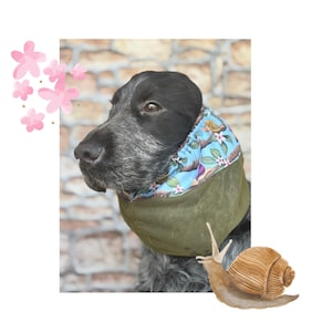 Breathable snood for dogs, snail & cherry blossom cocker spaniel ears cover, basset hound ears protector,cavalier snood,poodle snood