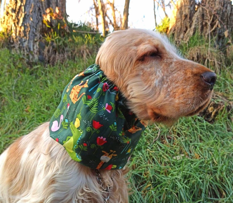 Cotton Snood for Cocker Spaniel Dog Ears Cover Cotton Dog Etsy