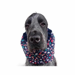 Puede incluir: Un perro negro y gris con un pañuelo de cuello azul y blanco con detalles rojos, blancos y verdes. El pañuelo tiene una variedad de imágenes pequeñas que incluyen un coche, una casa, un árbol y un perro.