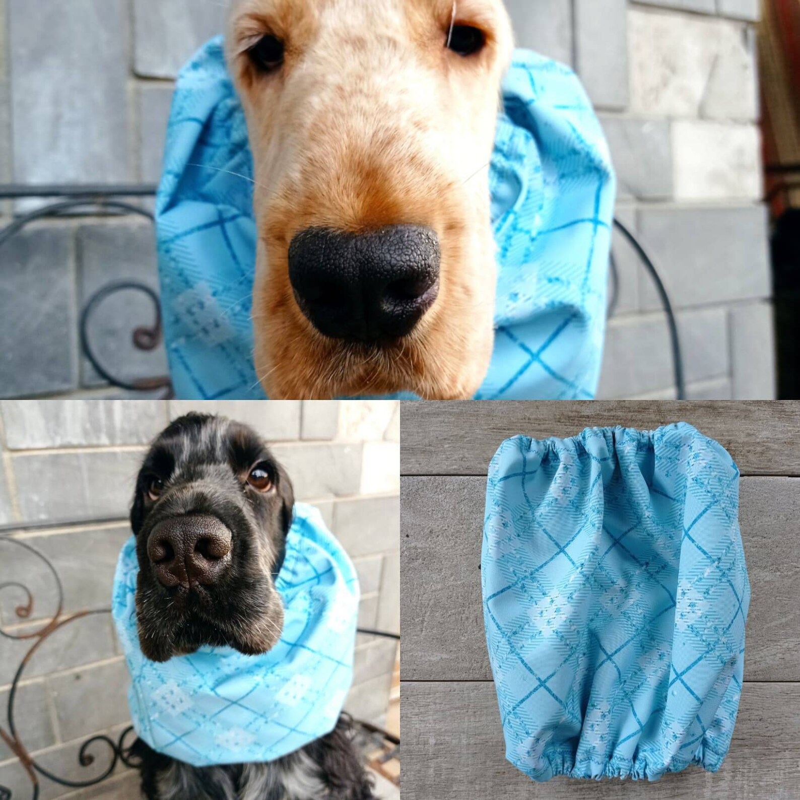 Waterproof snood for dogswimming cap for dog softshell snood Etsy