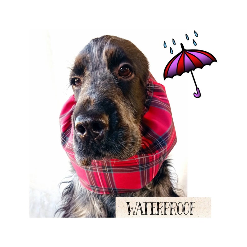 Snood imperméable tartan rouge, snood à carreaux protégeant de la pluie, bandeau pour chien, image 1