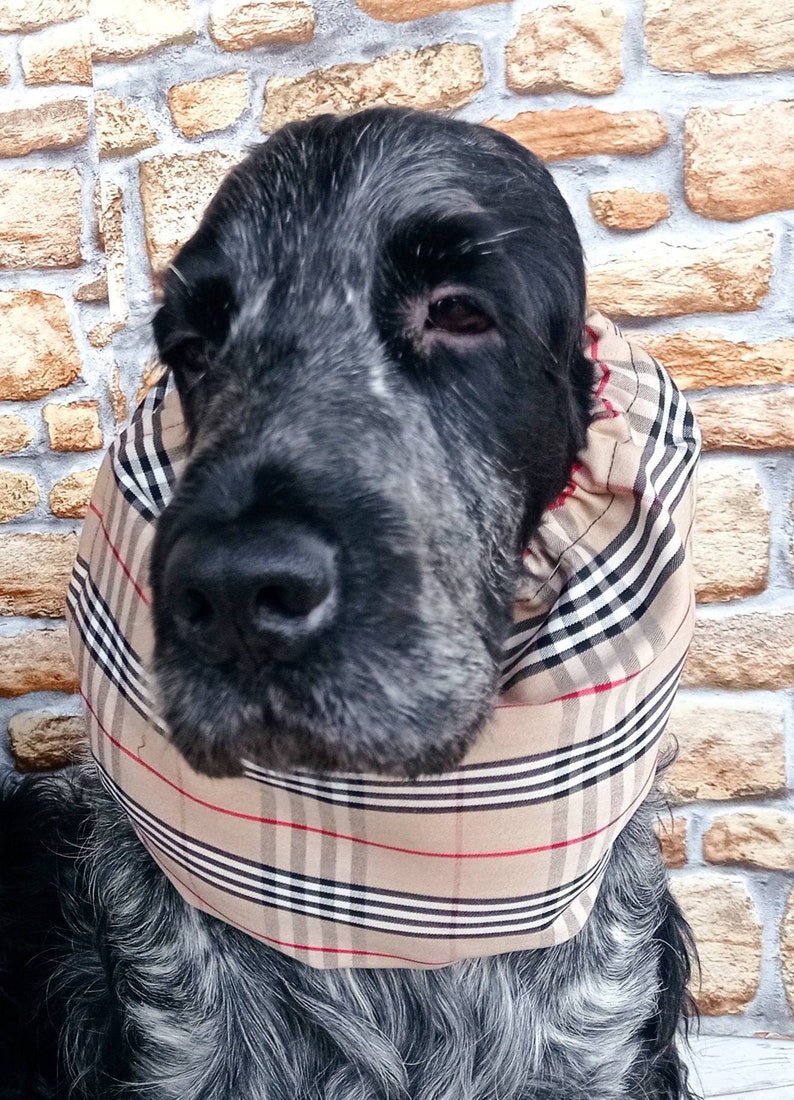 Snood en coton à carreaux marron clair pour chiens, snood en tartan pour cocker, snood en coton à carreaux pour bassethound, élégant serre-tête pour chien image 3