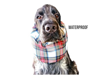 Plaid waterproof dog snood, rainproof snood for cocker spaniel and longeared dogs, swimming cap for dogs