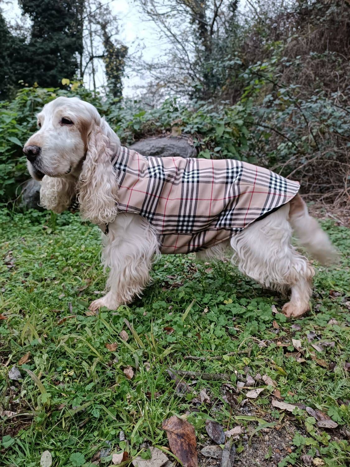 Tartan Dog Sweater Lined Inside With Quilted Fabric, Traditional ...
