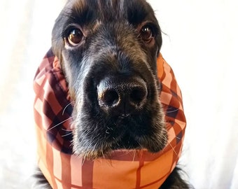 Snood imperméable à carreaux pour tous les chiens, snood imperméable en tartan pour chien, snood cocker, snood pour basset