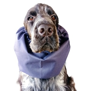Waterproof blue snood for dogs, spaniel rainproof snood