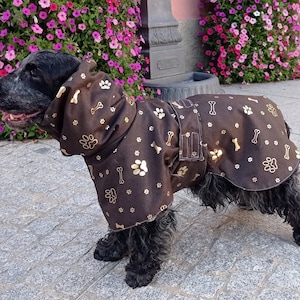 Cocker spaniel waterproof coat deals
