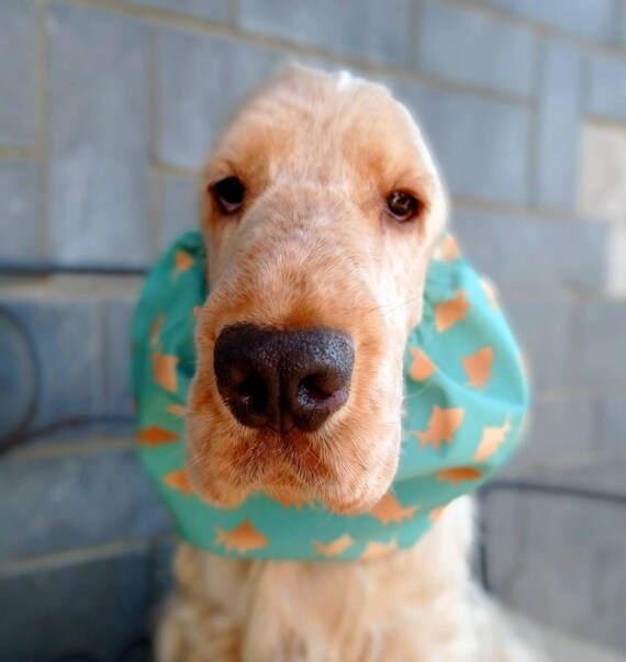 Waterproof dog snood swimming cap for dogs rainproof cocker Etsy