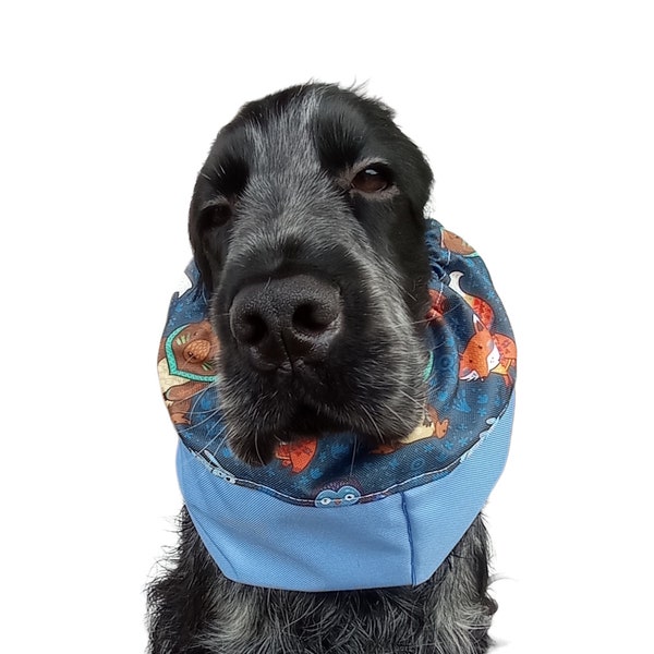 Swimming Cap for Dog Etsy