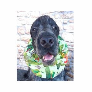 Snood for cocker spaniel made in cotton fabric ,dog ears cover, thin snood for all dogs, dog head band