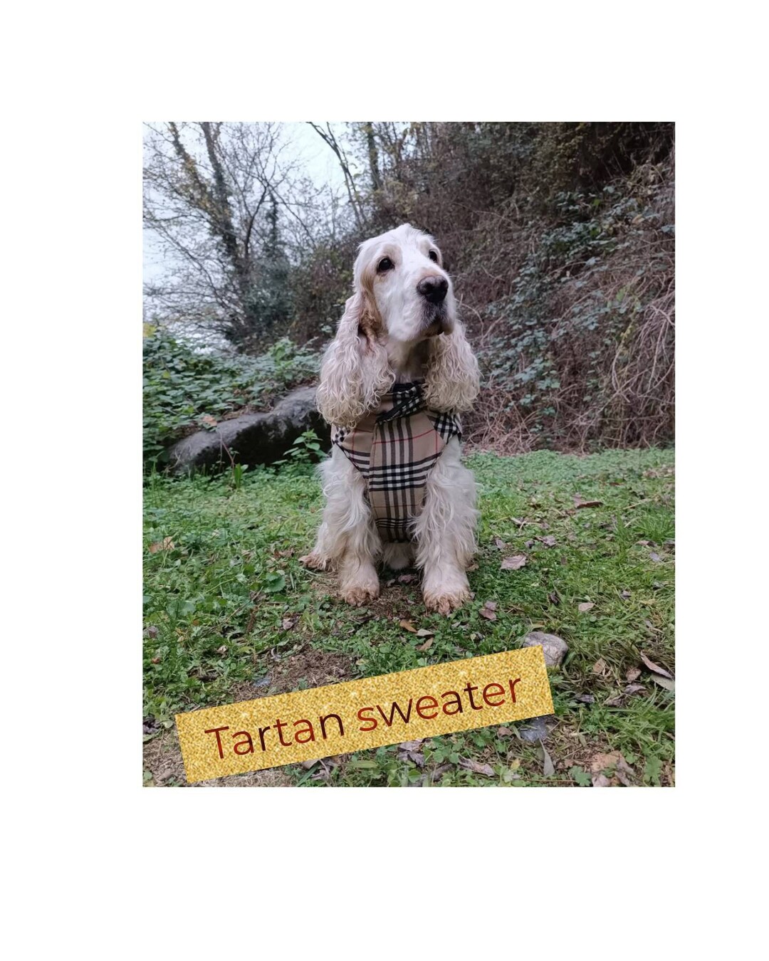Tartan Dog Sweater Lined Inside With Quilted Fabric Etsy