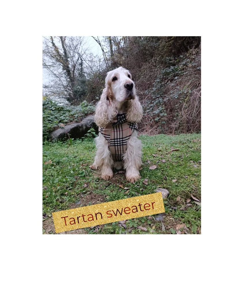 Tartan Dog Sweater Lined Inside With Quilted Fabric, Traditional ...
