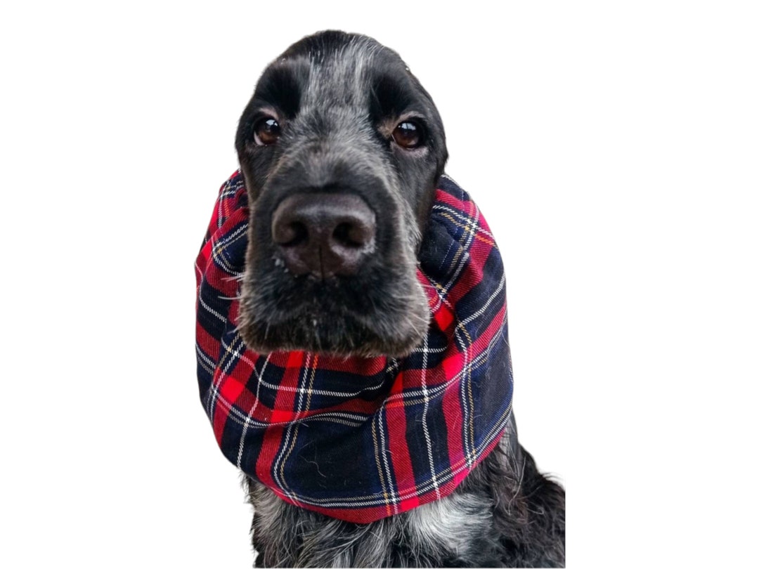 Tartan Sporran | Tartan | Kilt Scozzese