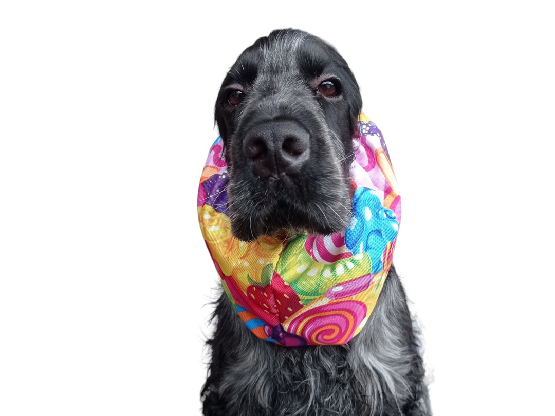 Waterproof Cocker Spaniel Snood Rainproof Thick Snood for Etsy