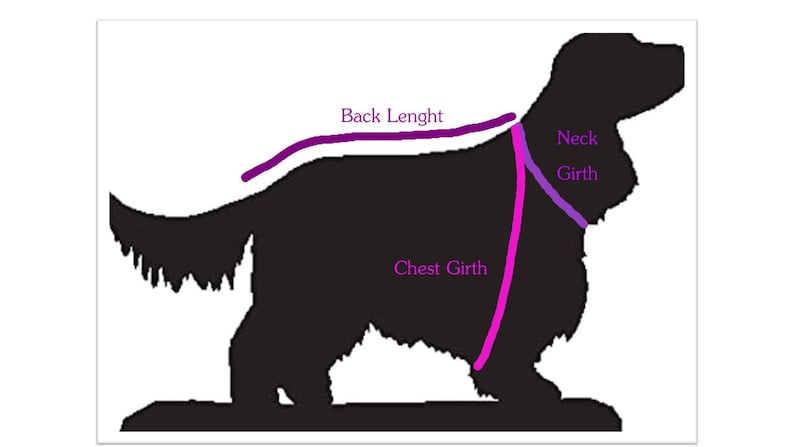 Tartan Cocker Spaniel Raincoat Covering Chest Fringes, Waterproof Dog ...