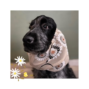 Breathable   snood for dogs with daisies, thin dog snood, summer ears cover for dogs,summer afghan hound ears cover