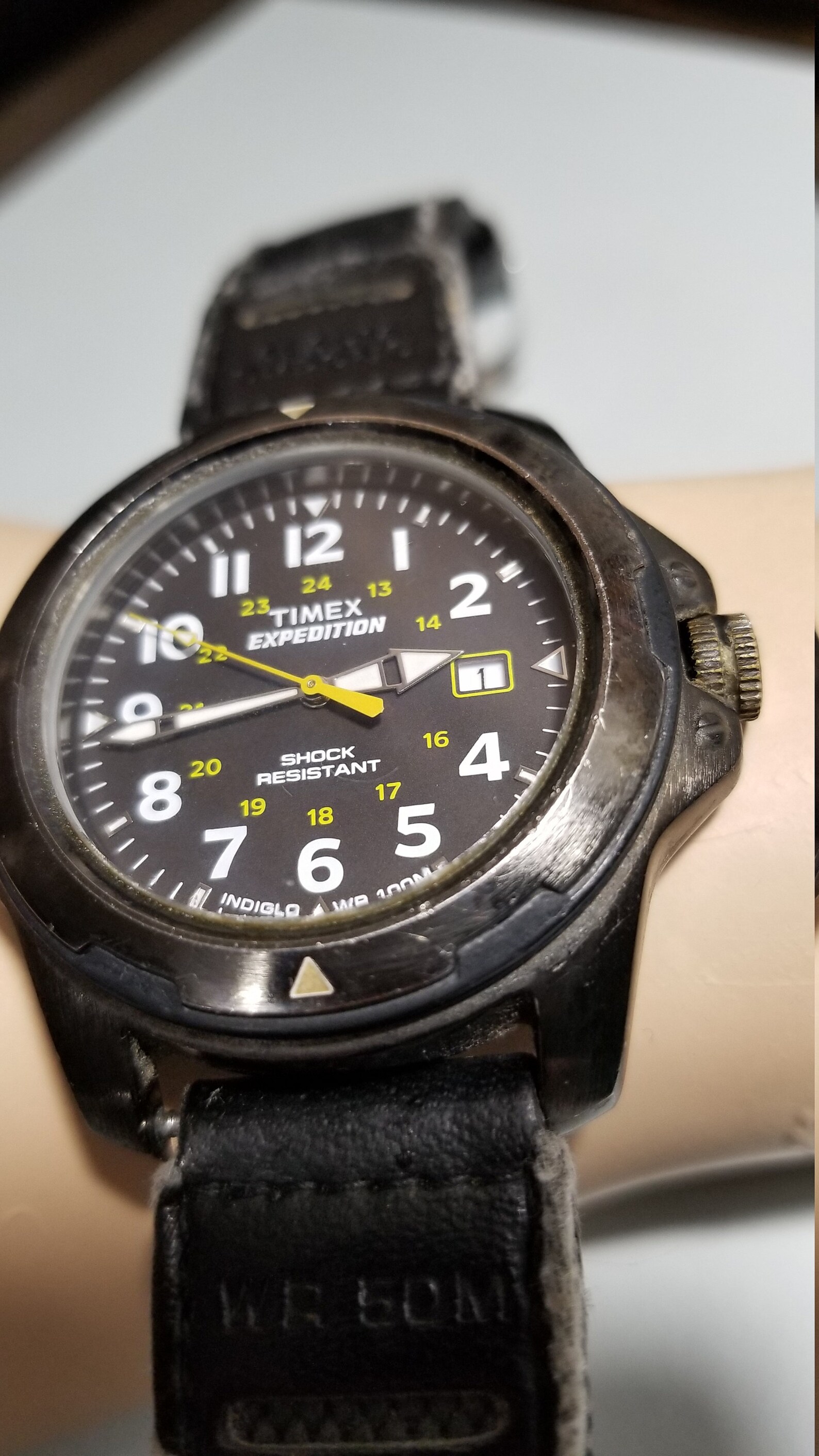 timex shock resistant
