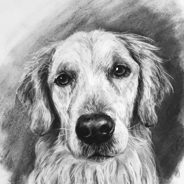 Custom Pet Portrait/Charcoal Pet Portrait/Custom Pet Memorial/Portrait Dog Portrait/Pet Illustration/Dog Portrait/Hand-drawn pet portrait