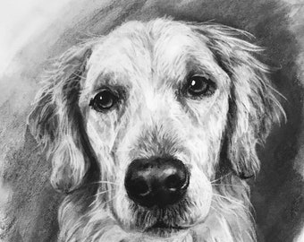 Custom Pet Portrait/Charcoal Pet Portrait/Custom Pet Memorial/Portrait Dog Cat Portrait/Pet Illustration/Dog Portrait/Mother's Day