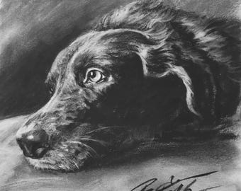 Custom Pet Portraits From Photo | Dog Portraits | Memorial Gift for Pet Lover