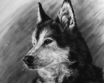 Pet Portrait Custom Charcoal | Pet Loss Gift | dog portrait charcoal | pet illustration | custom pet memorial | drawing from photo |